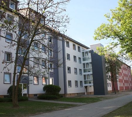 Rückseite