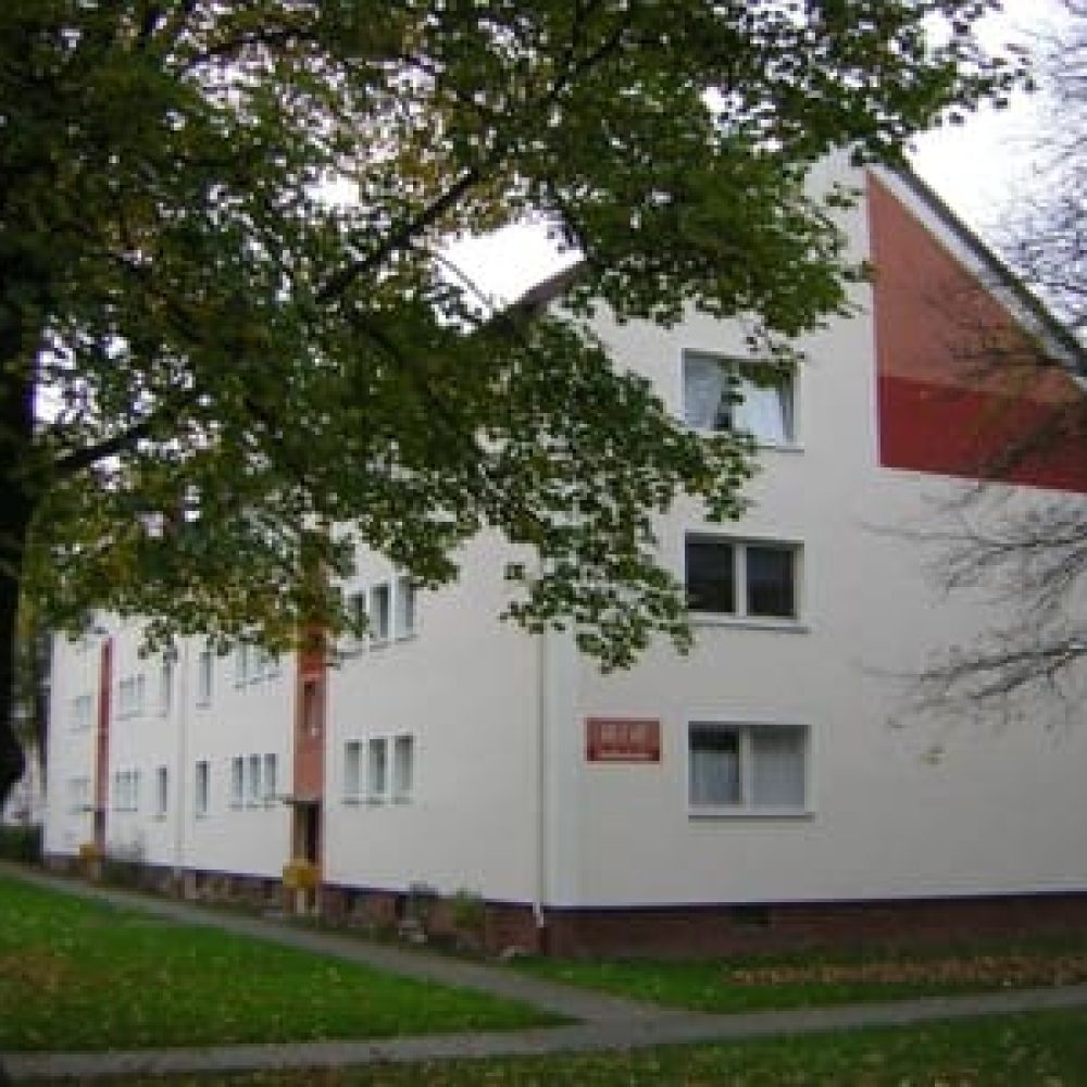2 Zimmer mit großer Küche, Bild 1