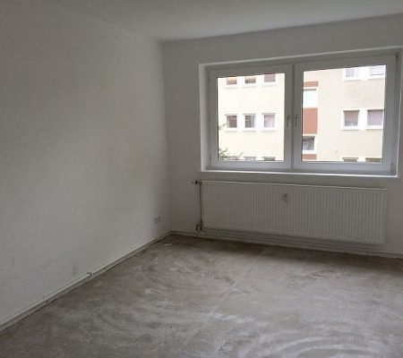 + 2 Zimmer mit einem neuen Badezimmer+, Bild 13